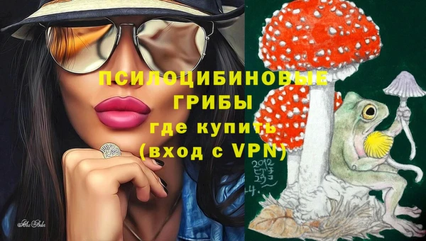 герыч Абаза