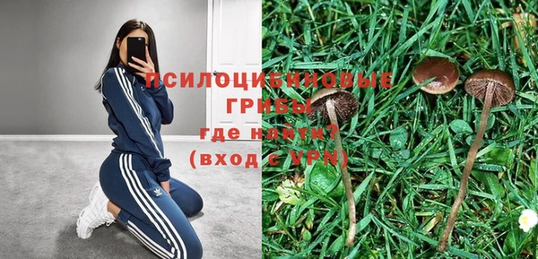 хмурый Осташков