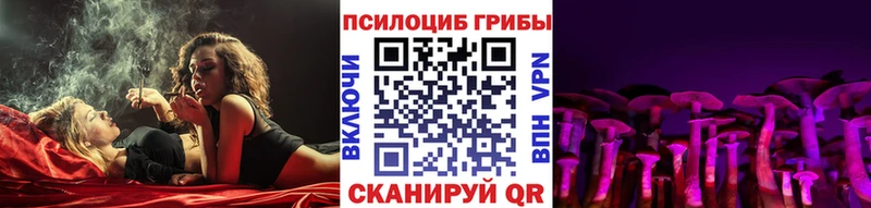 Псилоцибиновые грибы Psilocybine cubensis  цена   kraken зеркало  Калачинск 